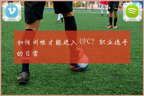 如何训练才能进入 UFC？职业选手的日常